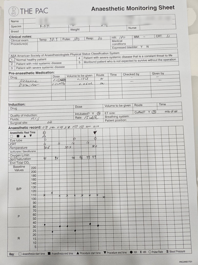 리움동물의료센터 실제 마취 환자 감시 모니터링